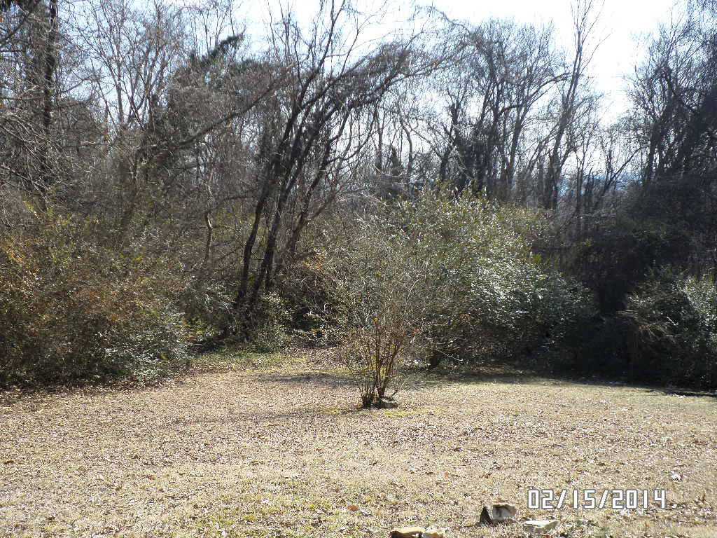 6016 Ridgewood Road Knoxville, TN 37918 - Photo 4 of 14 back yard view