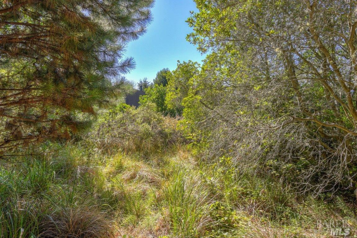 332 Antler The Sea Ranch, CA 95497 - Photo 13 of 26 a view of a yard