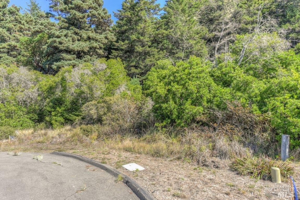 332 Antler The Sea Ranch, CA 95497 - Photo 16 of 26 a view of a dry yard with wooden fence