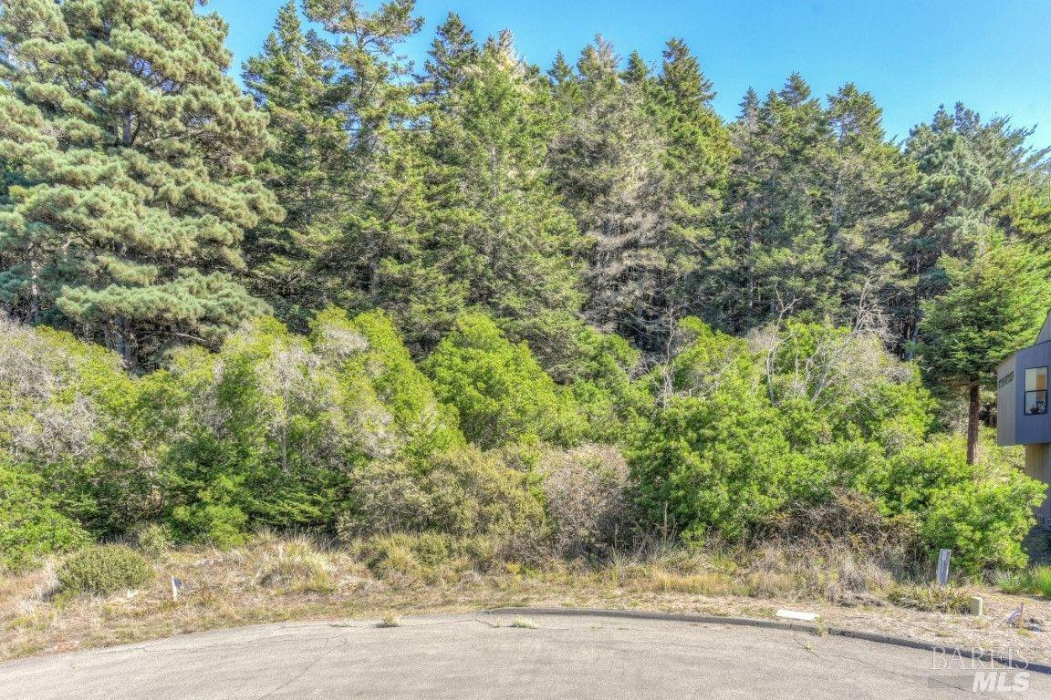 332 Antler The Sea Ranch, CA 95497 - Photo 17 of 26 an outdoor space with wooden fence