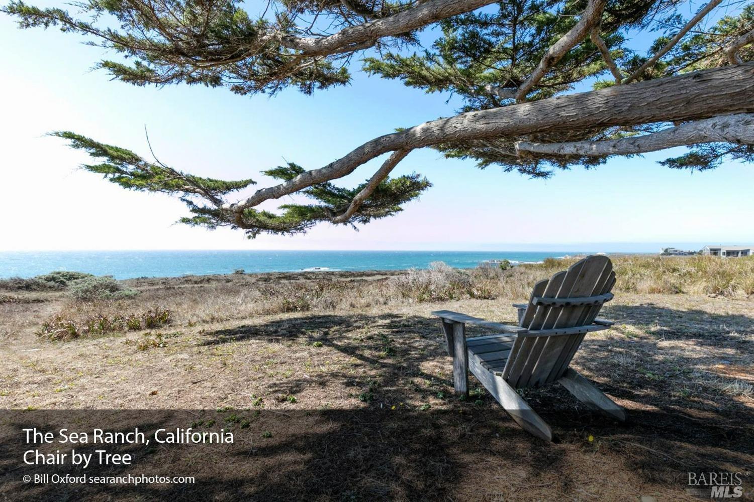 332 Antler The Sea Ranch, CA 95497 - Photo 24 of 26 a view of outdoor space and ocean