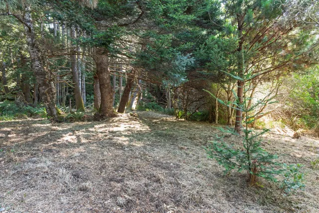 a view of outdoor space and tree