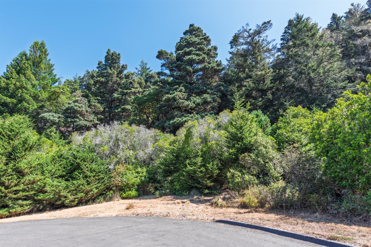 332 Antler The Sea Ranch, CA 95497 - Photo 10 of 26 an aerial view of a house with a yard