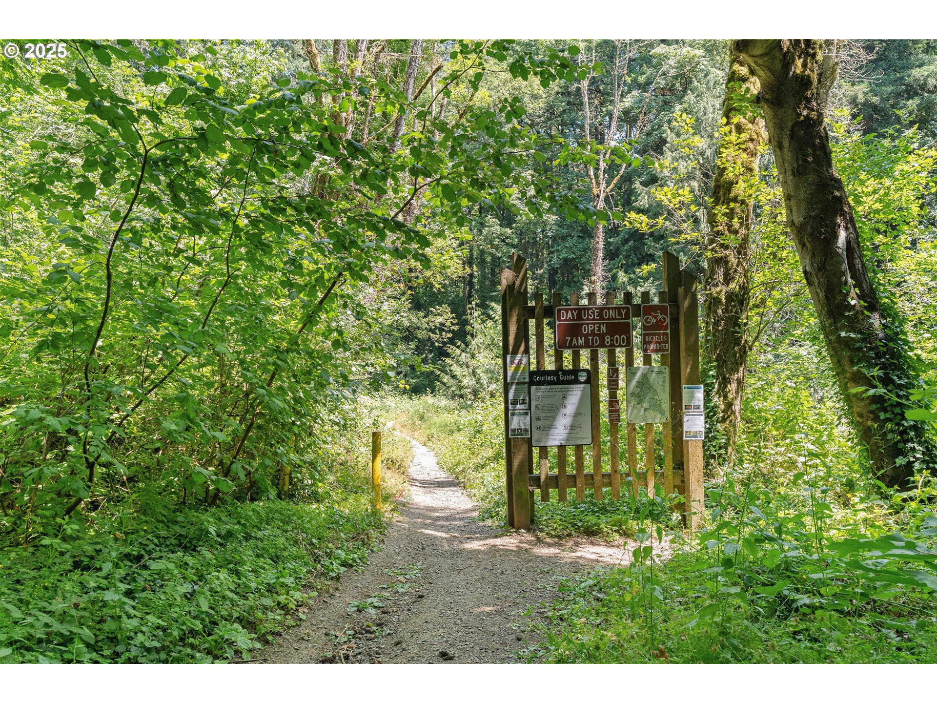 511 Southwest Colony Drive Portland, OR 97219 - Photo 44 of 46 a view of a yard