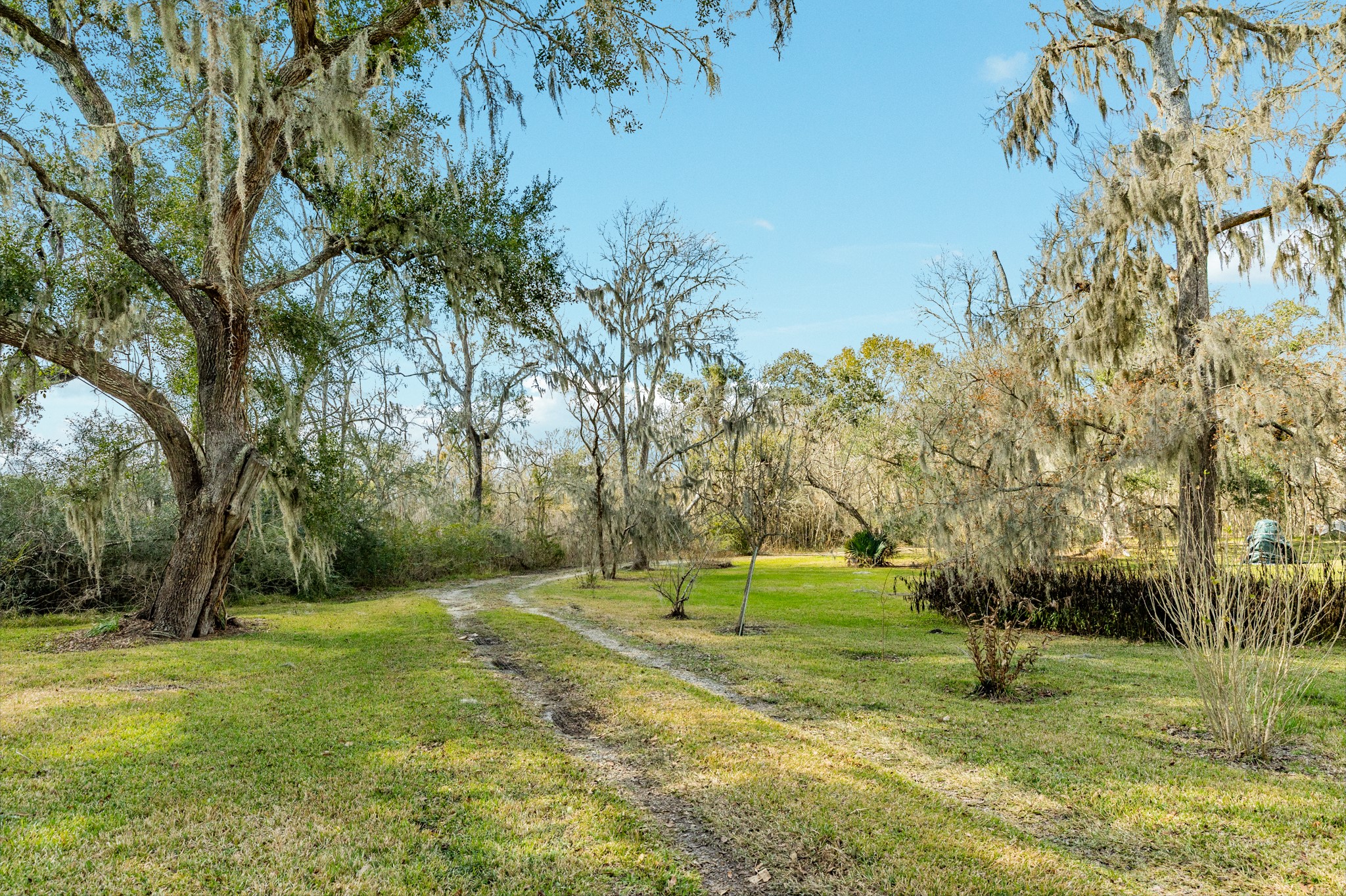 703 County Road 605 Angleton, TX 77515 - Photo 20 of 35 a garden with trees in the background