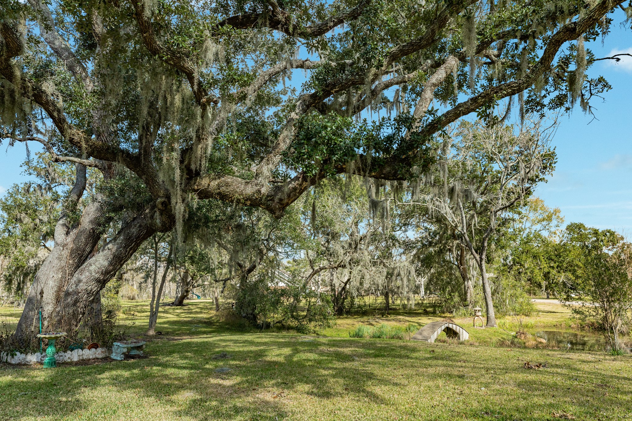703 County Road 605 Angleton, TX 77515 - Photo 21 of 35 a view of a garden with water fountain