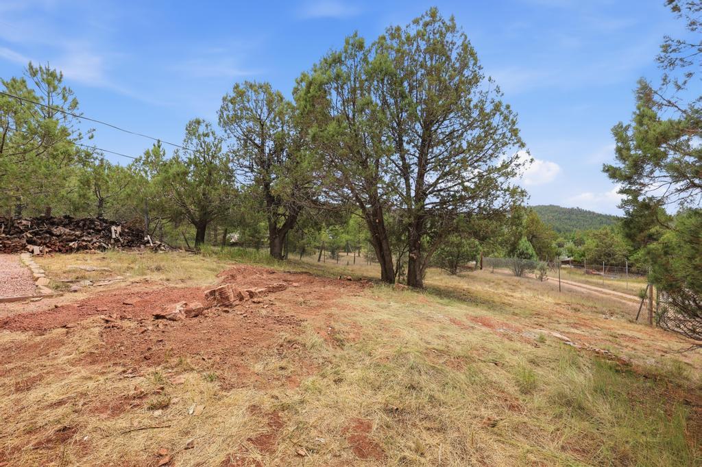 505 Running Elk Road Payson, AZ 85541 - Photo 23 of 30