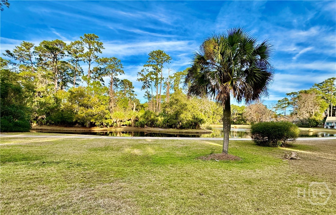 38 Wiley Bottom Road Savannah, GA 31411 - Photo 37 of 43