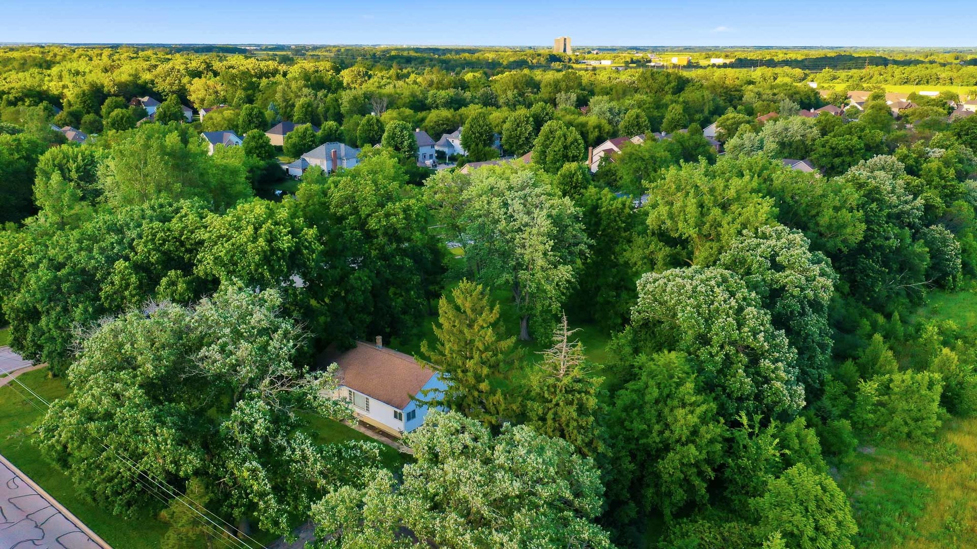 3S103 South Raddant Road Batavia, IL 60510 - Photo 8 of 43