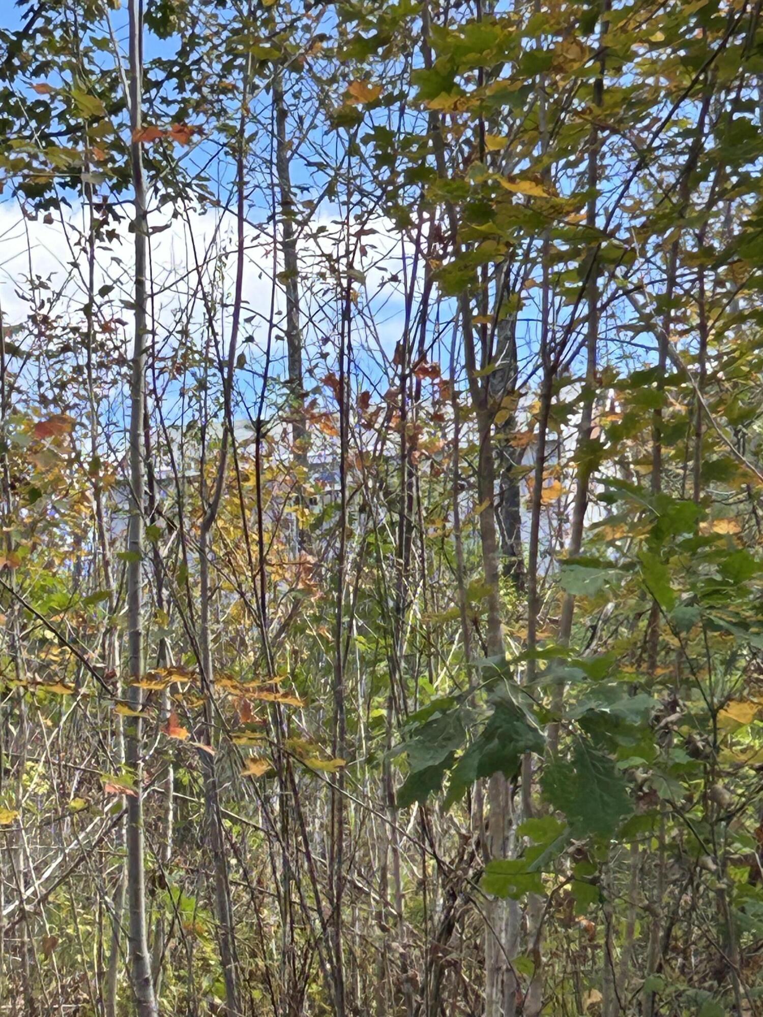 11 Penny Lane Parsonsfield, ME 04047 - Photo 21 of 27 IMG_4561