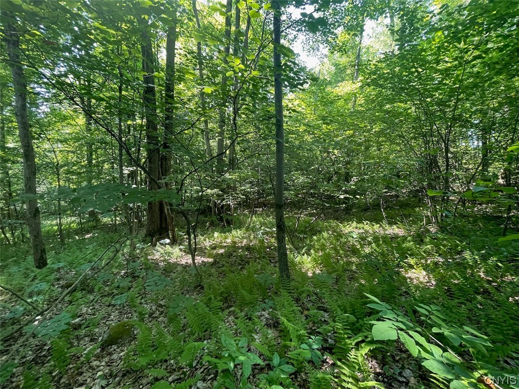 0 Us Rt 11 Central Square, NY 13036 - Photo 11 of 24