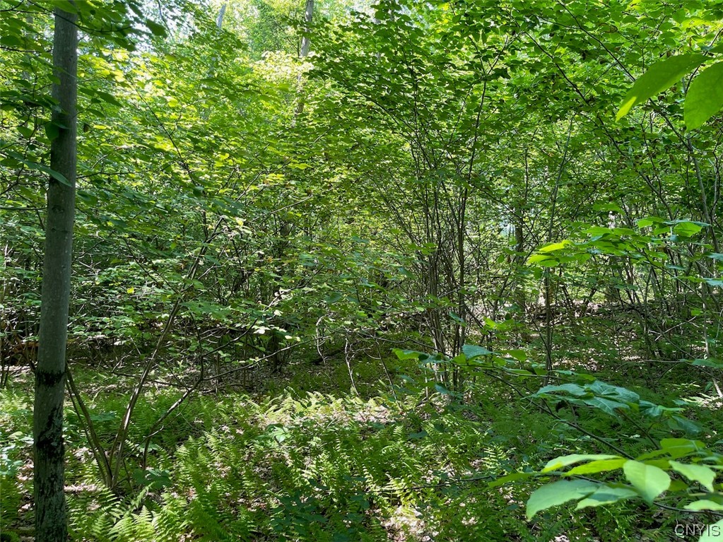 0 Us Rt 11 Central Square, NY 13036 - Photo 12 of 24