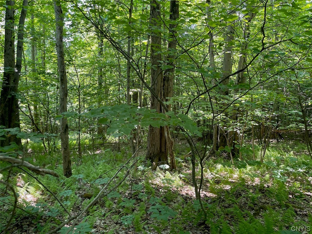 0 Us Rt 11 Central Square, NY 13036 - Photo 13 of 24