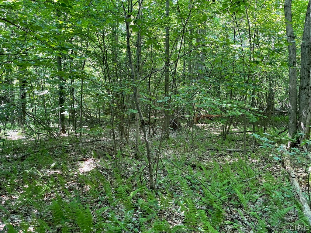 0 Us Rt 11 Central Square, NY 13036 - Photo 14 of 24