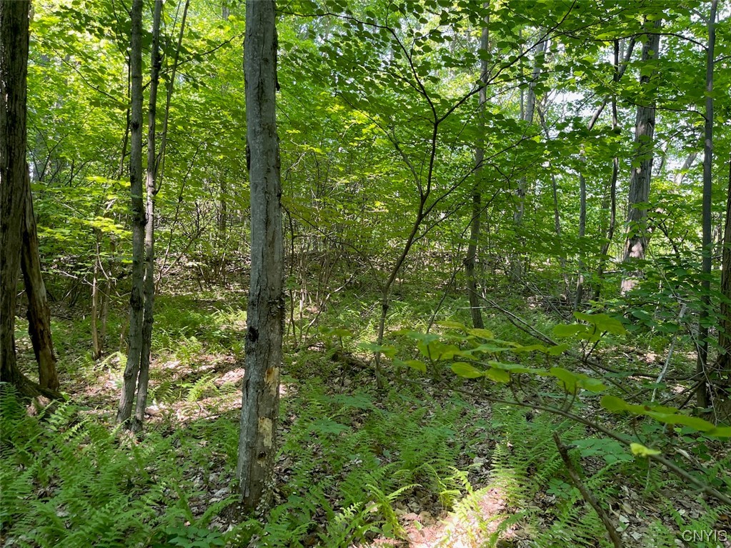 0 Us Rt 11 Central Square, NY 13036 - Photo 15 of 24