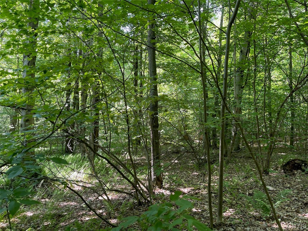 0 Us Rt 11 Central Square, NY 13036 - Photo 16 of 24