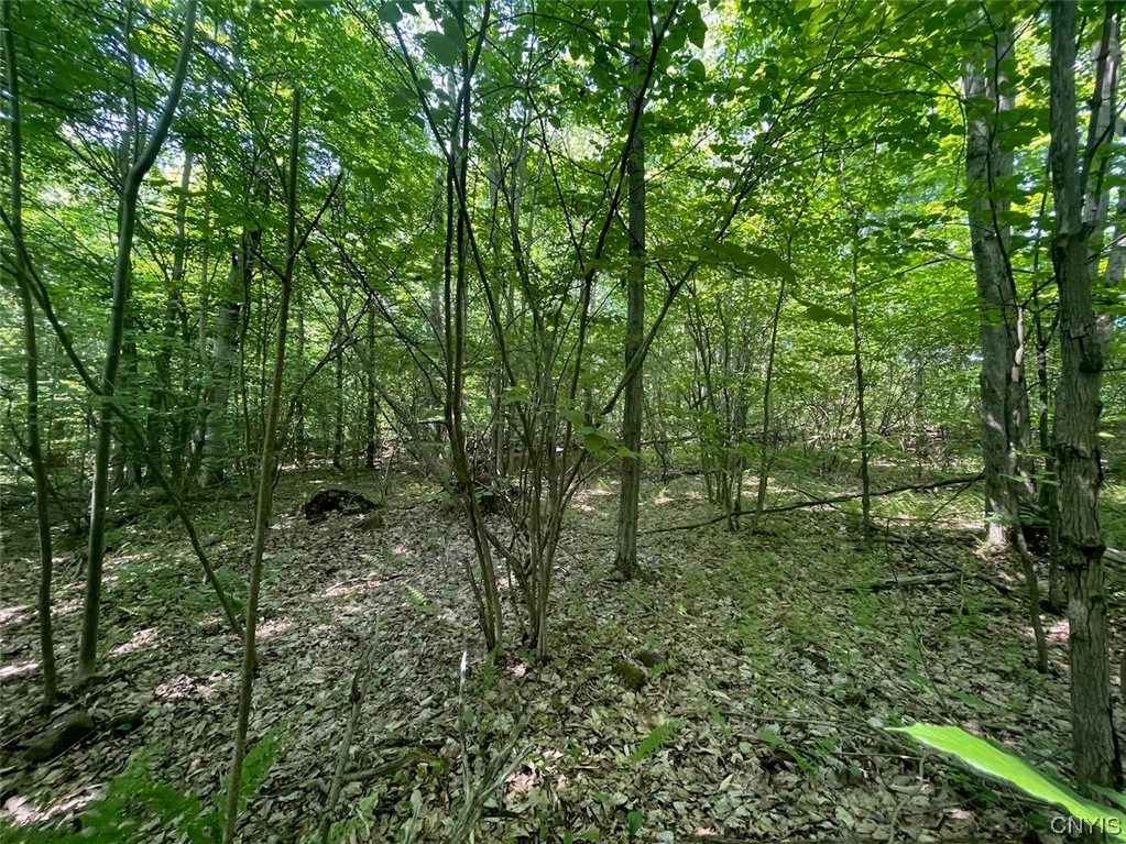 0 Us Rt 11 Central Square, NY 13036 - Photo 17 of 24