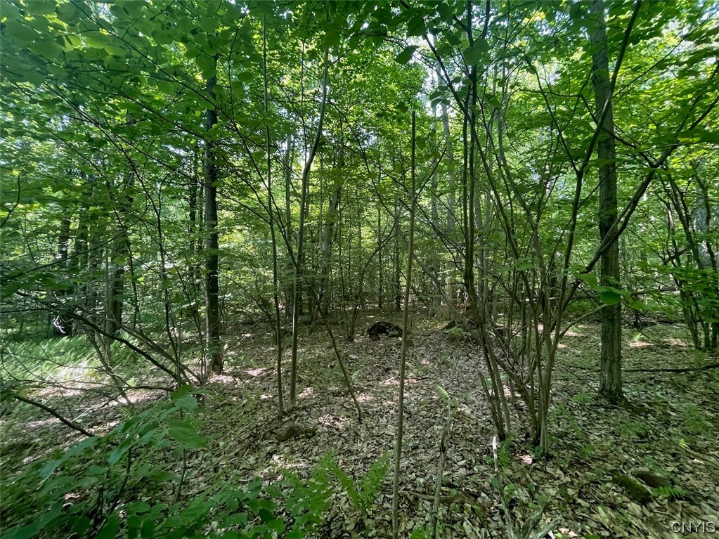 0 Us Rt 11 Central Square, NY 13036 - Photo 18 of 24