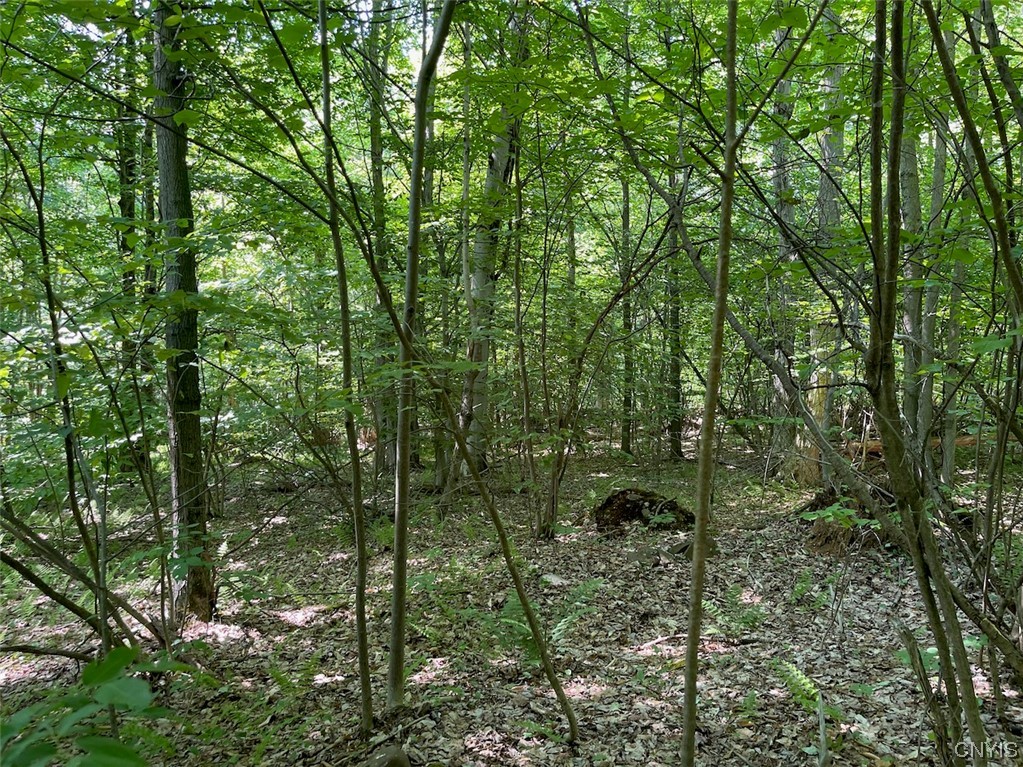 0 Us Rt 11 Central Square, NY 13036 - Photo 19 of 24