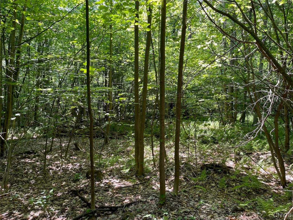 0 Us Rt 11 Central Square, NY 13036 - Photo 20 of 24