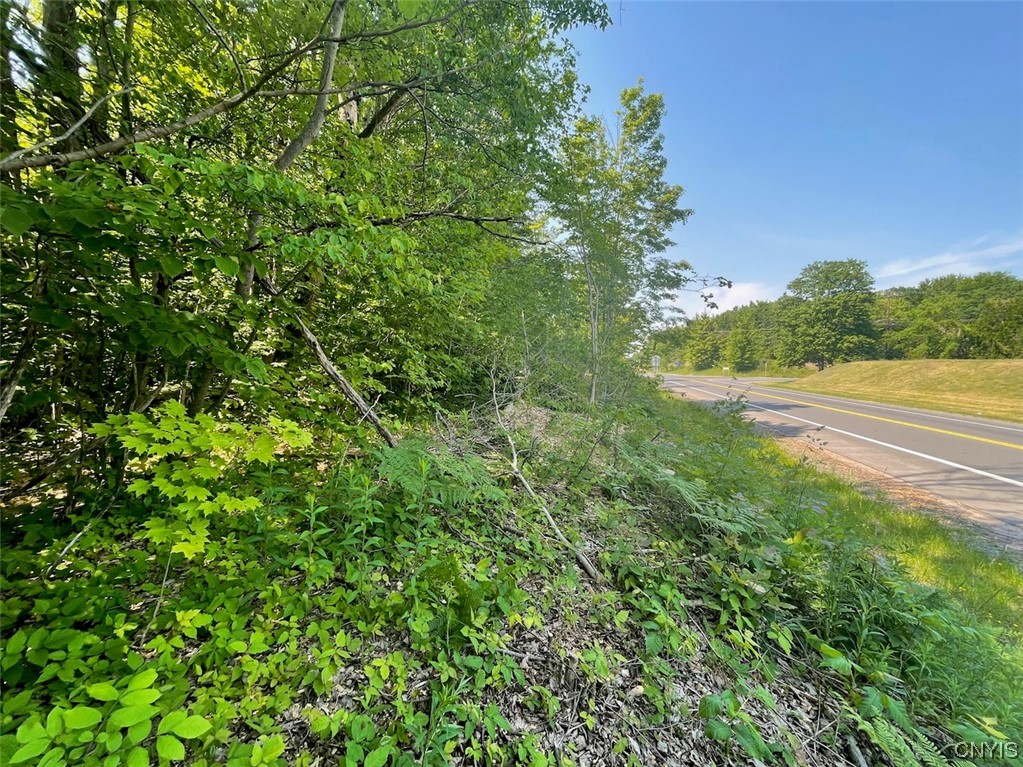 0 Us Rt 11 Central Square, NY 13036 - Photo 2 of 24