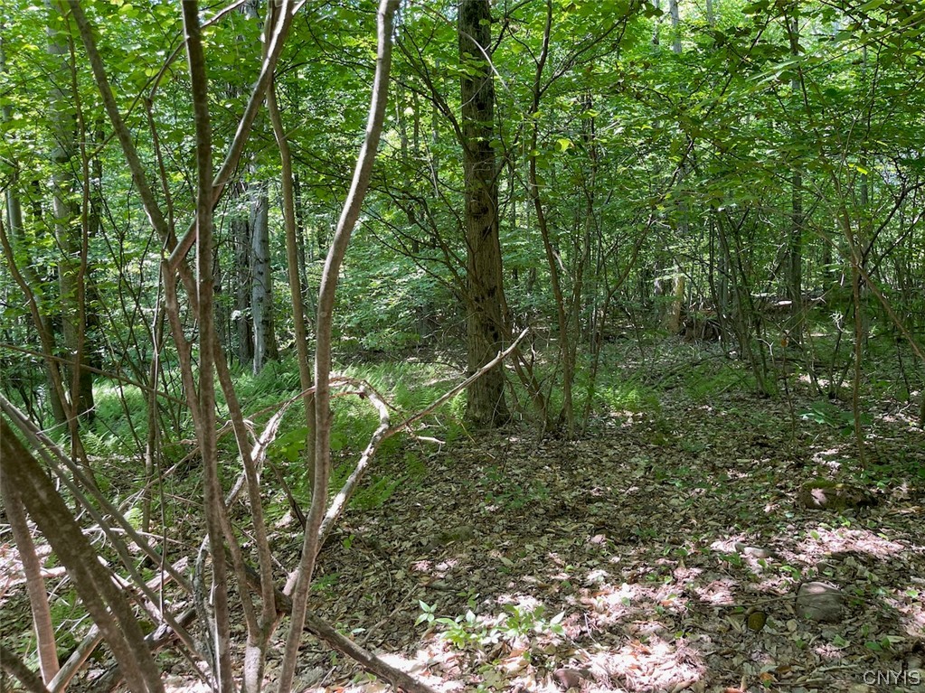 0 Us Rt 11 Central Square, NY 13036 - Photo 21 of 24