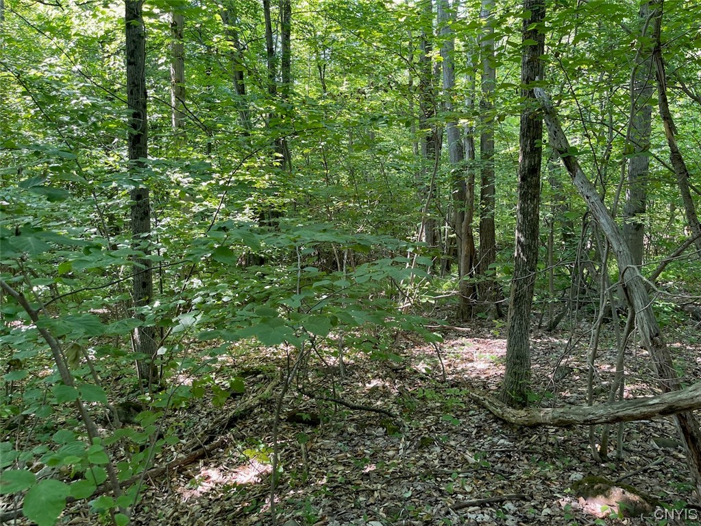 0 Us Rt 11 Central Square, NY 13036 - Photo 22 of 24