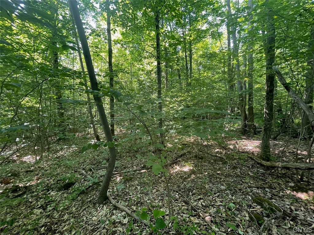 0 Us Rt 11 Central Square, NY 13036 - Photo 23 of 24