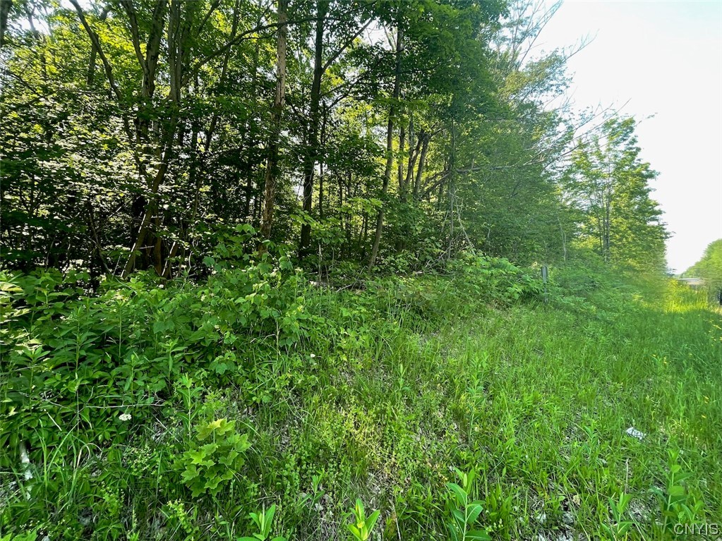 0 Us Rt 11 Central Square, NY 13036 - Photo 3 of 24