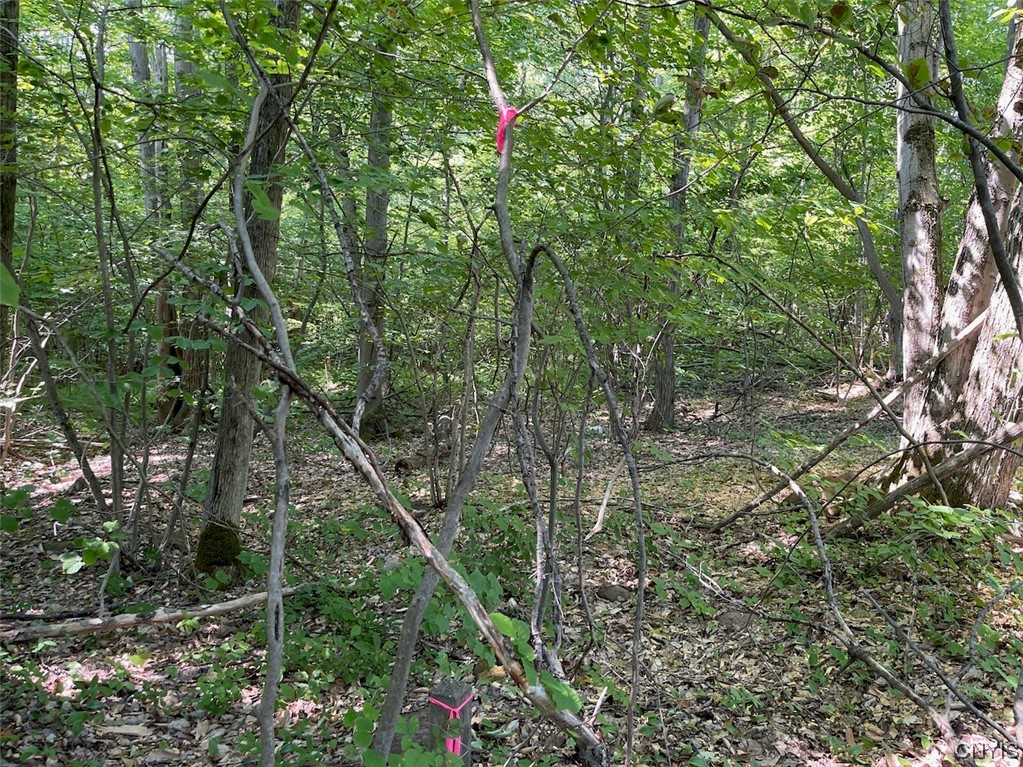 0 Us Rt 11 Central Square, NY 13036 - Photo 4 of 24