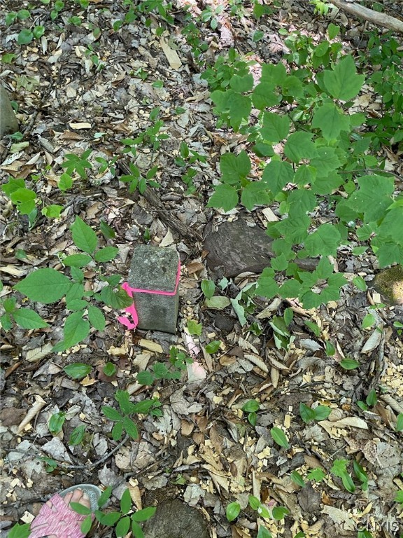 0 Us Rt 11 Central Square, NY 13036 - Photo 5 of 24