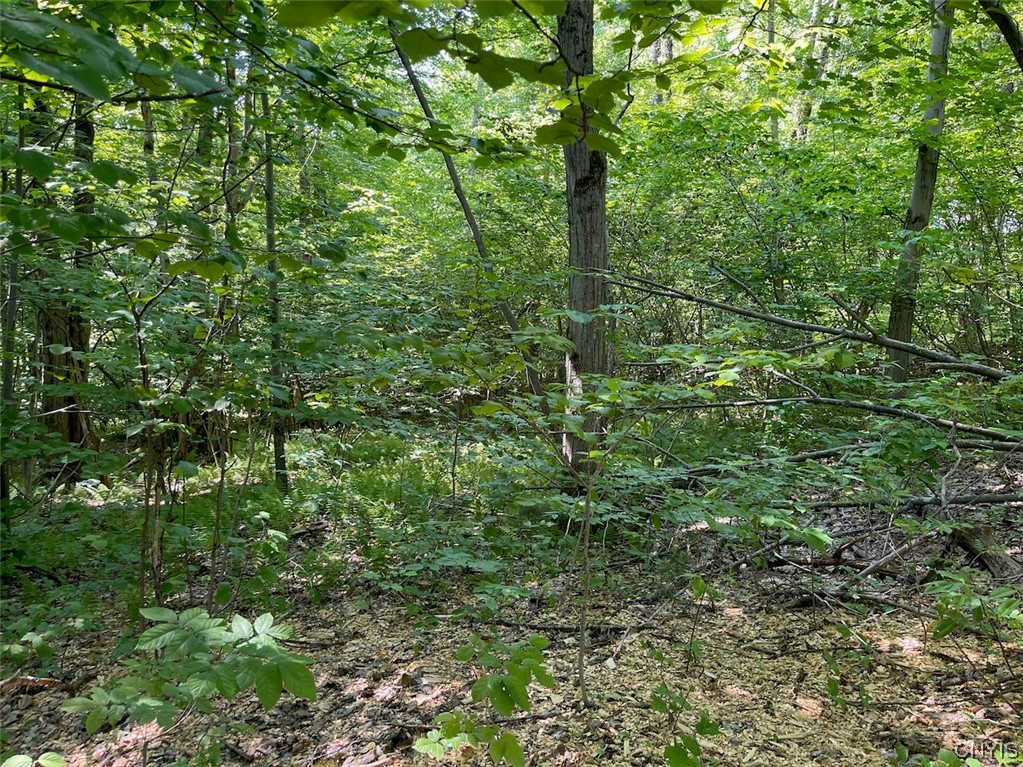 0 Us Rt 11 Central Square, NY 13036 - Photo 6 of 24