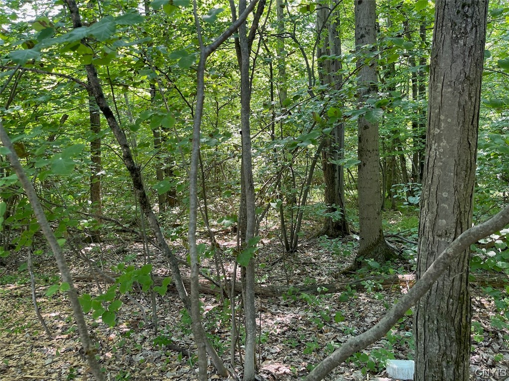 0 Us Rt 11 Central Square, NY 13036 - Photo 7 of 24