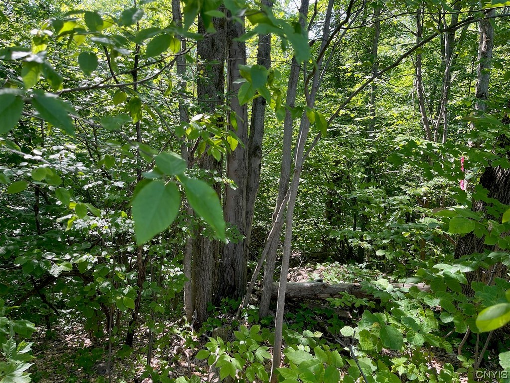 0 Us Rt 11 Central Square, NY 13036 - Photo 8 of 24