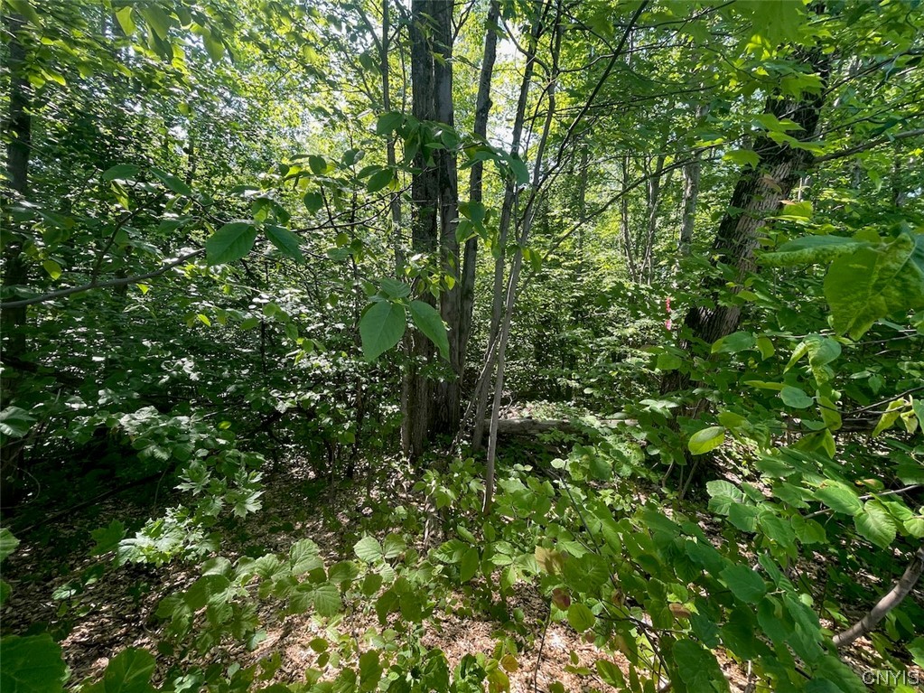 0 Us Rt 11 Central Square, NY 13036 - Photo 9 of 24