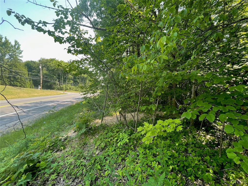 0 Us Rt 11 Central Square, NY 13036 - Photo 10 of 24