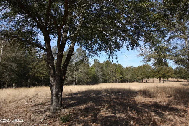 $235,000 | Tbd Tbd Stokes Bluff Landing, Garnett, SC 29922