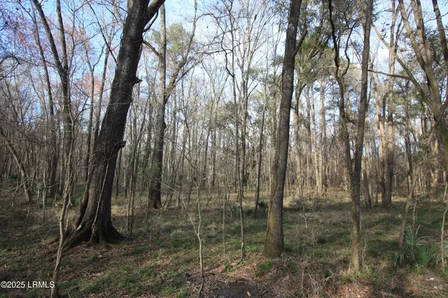 $235,000 | Tbd Tbd Stokes Bluff Landing, Garnett, SC 29922