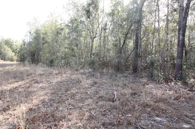 $235,000 | Tbd Tbd Stokes Bluff Landing, Garnett, SC 29922