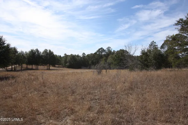 $235,000 | Tbd Tbd Stokes Bluff Landing, Garnett, SC 29922