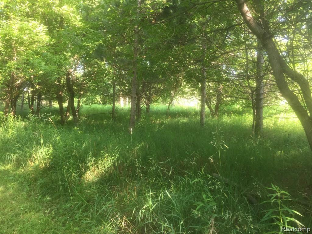 3850 West Oregon Road Lapeer, MI 48446 - Photo 91 of 94 07 695.jpg