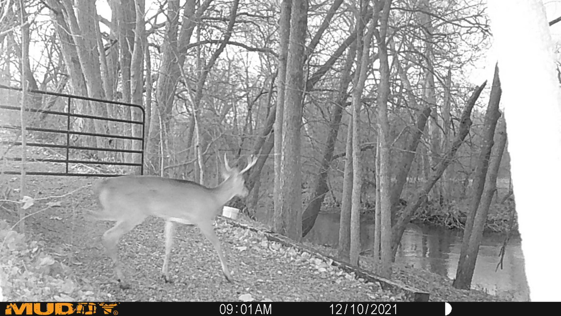 0 Fetters Road Bradford, OH 45308 - Photo 33 of 56