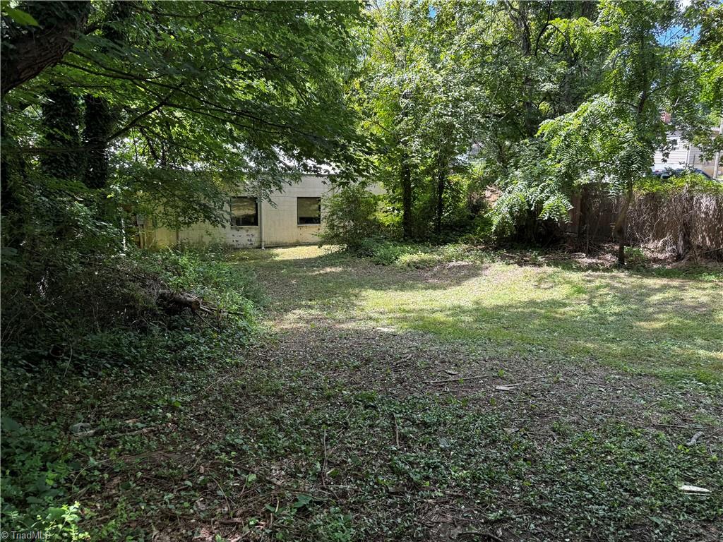 1000 Garrison Street High Point, NC 27260 - Photo 11 of 33 Gallery Image 11