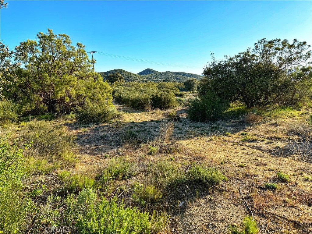 3 Chihuahua Valley Road Warner Springs, CA 92086 - Photo 13 of 19 a view of a yard with a tree