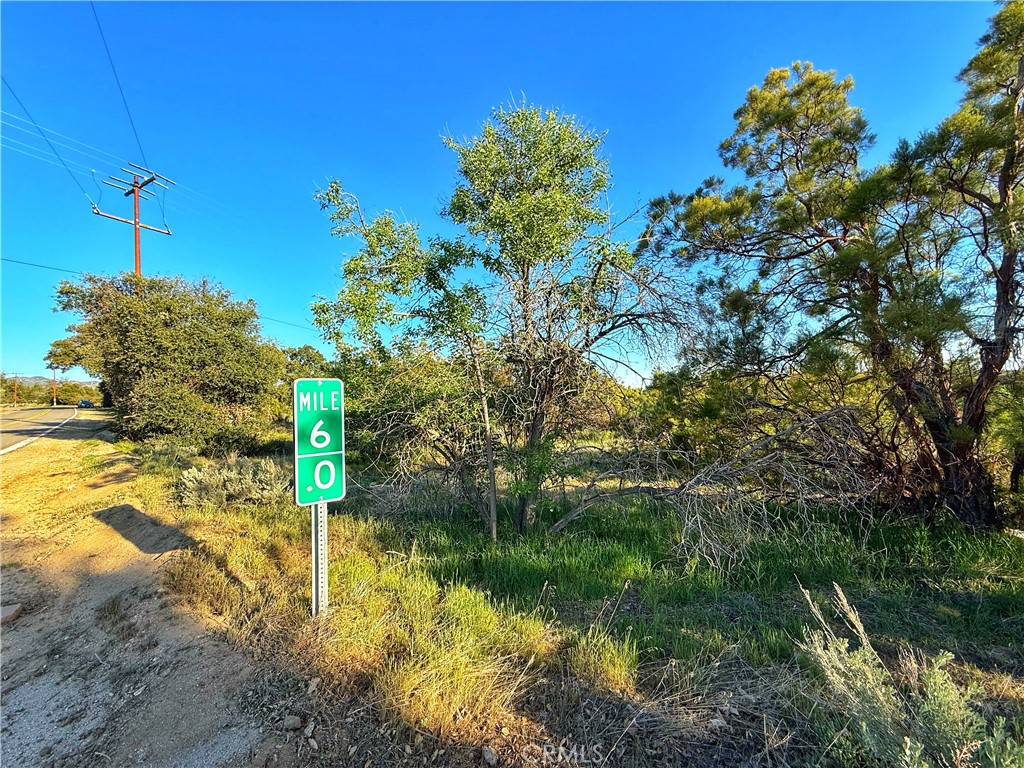 3 Chihuahua Valley Road Warner Springs, CA 92086 - Photo 14 of 19 a backyard of a house with lots of green space