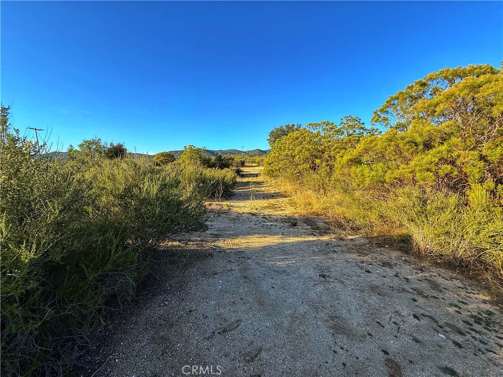 3 Chihuahua Valley Road Warner Springs, CA 92086 - Photo 18 of 19 a view of a yard with a house