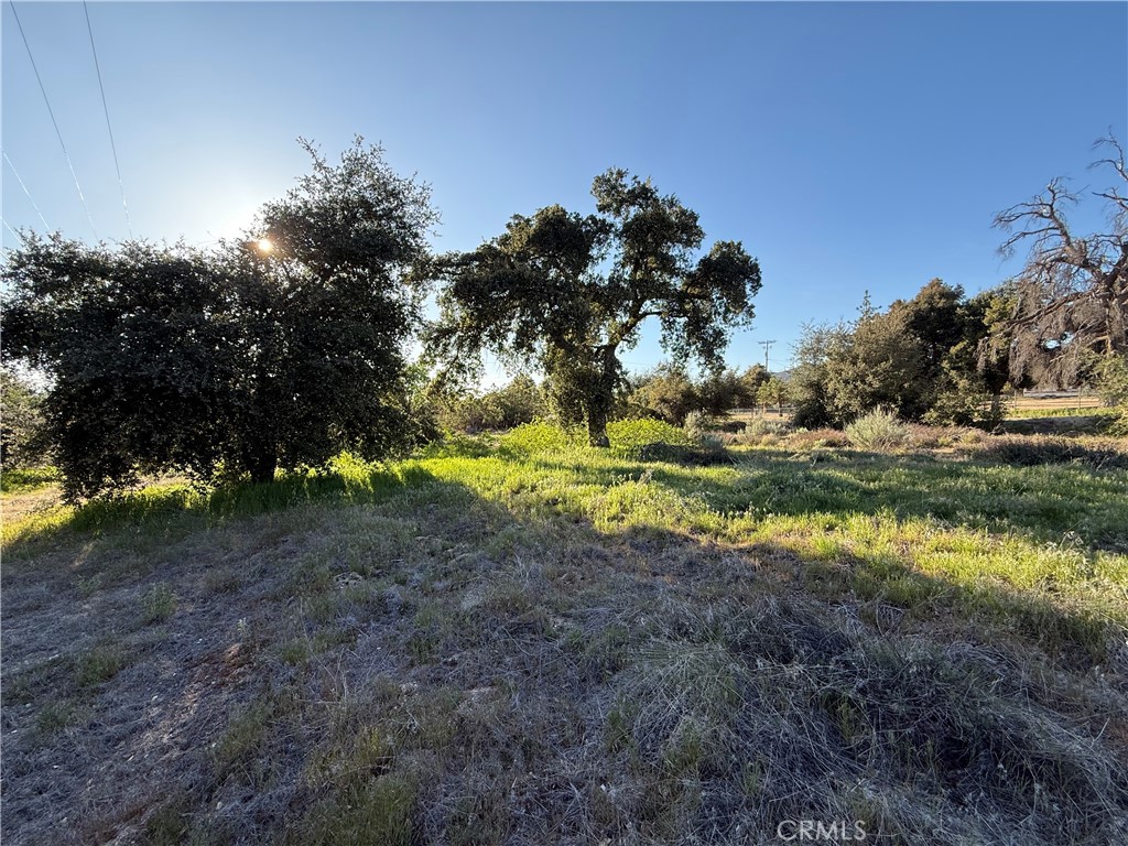 3 Chihuahua Valley Road Warner Springs, CA 92086 - Photo 2 of 19 a view of back yard
