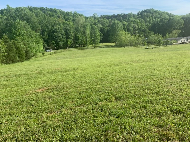 450 Old Towne Branch Road Waynesboro, TN 38485 - Photo 4 of 29 Gallery Image 4