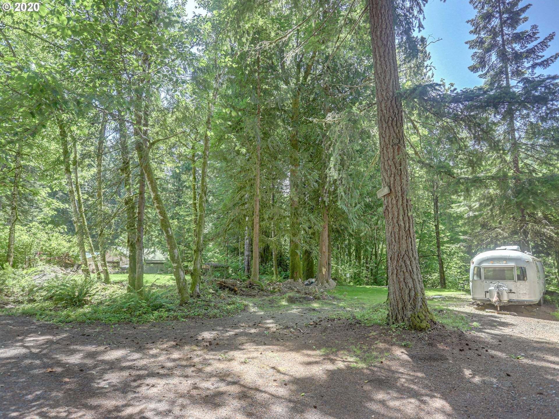 0 East Terrace Drive Rhododendron, OR 97049 - Photo 12 of 17 a view of a forest with trees in the background