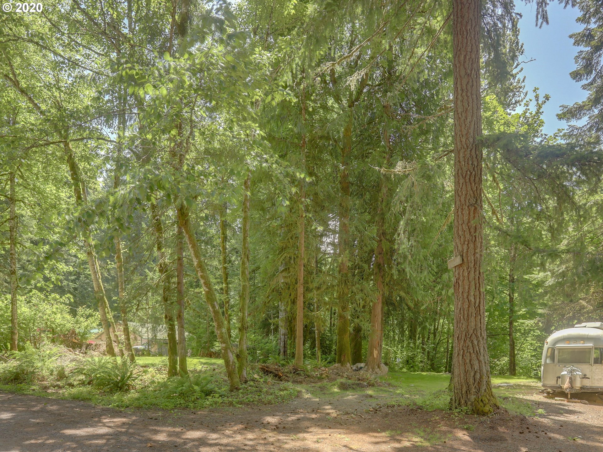 0 East Terrace Drive Rhododendron, OR 97049 - Photo 13 of 17 a view of a forest with trees